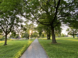 A view of Penn Park