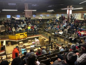 Read more about the article Carlisle Livestock Auction: A farming chapter ends