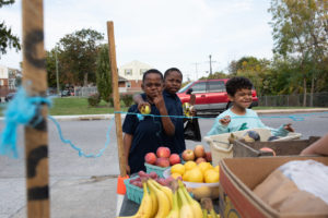 Read more about the article Urban farming: Thriving agriculture in the city